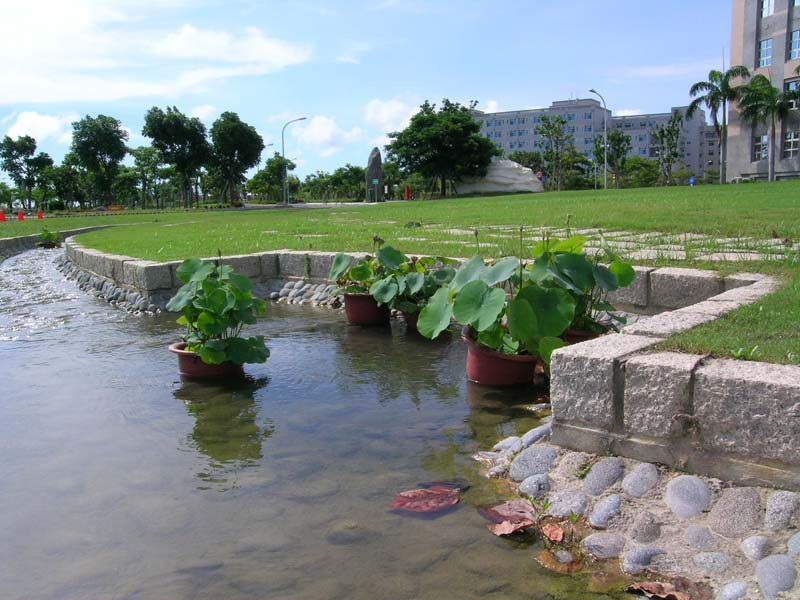 Link to 小河潺潺